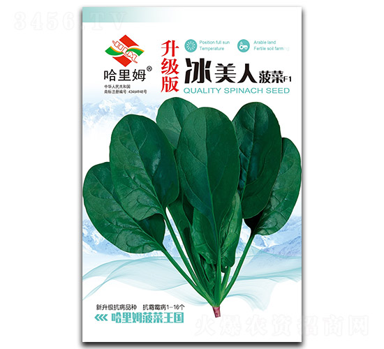 �����������-���˷N��-����ķ