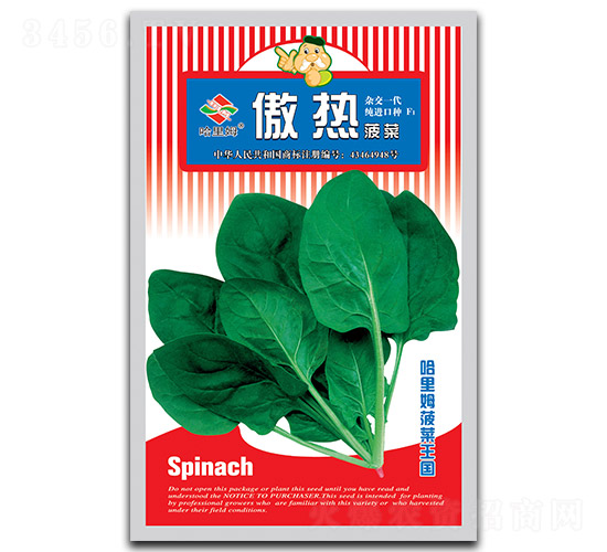 ����-���˷N��-����ķ