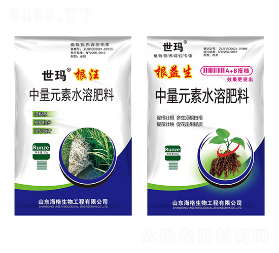 ����+������-����-��������