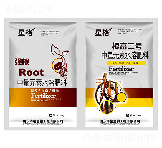 ����+������̖-�Ǹ�-��������