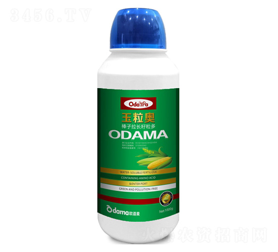 玉粒奧-棒子拉長籽粒多-歐道麥