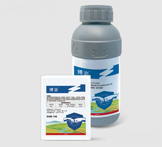 15%����x������(li��n)�������Ҹ���-����-���r�_