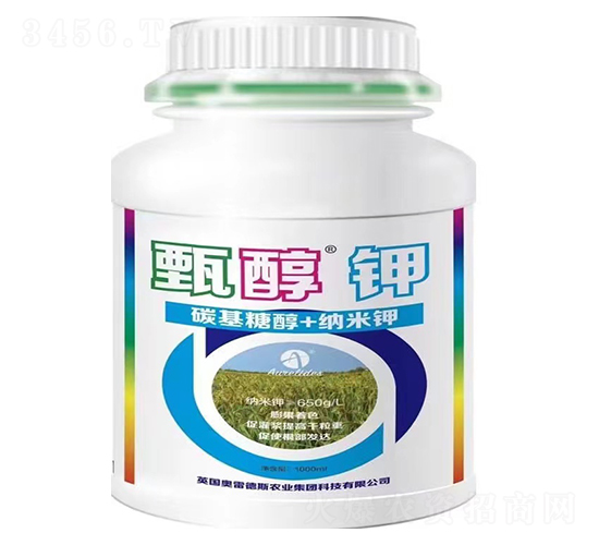 �紼�-�W�׵�˹