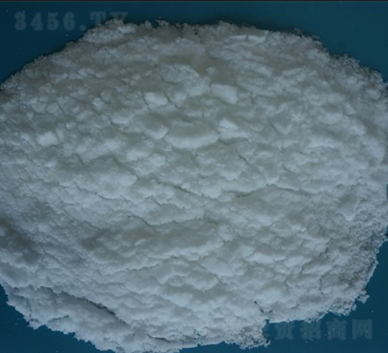 �����@��ĩ�������Ἁ(j��)��-ʢ��ʘI(y��)