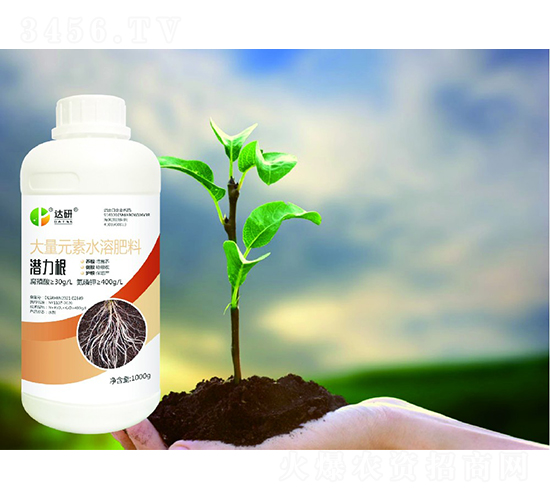 ����Ԫ��ˮ�ܷ���-������-�_������