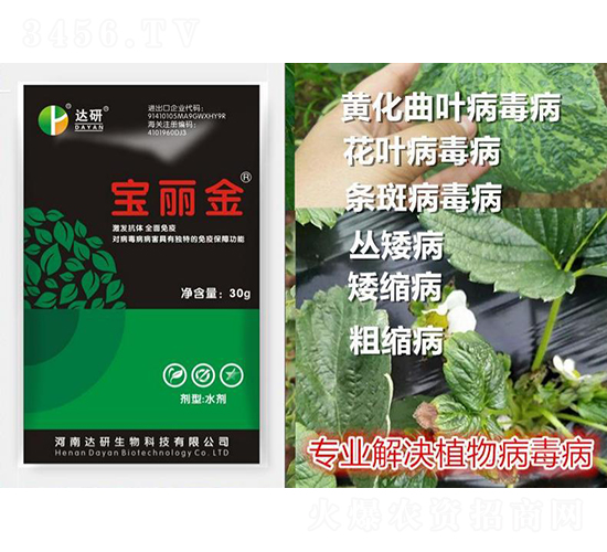 ������-�_(d��)������