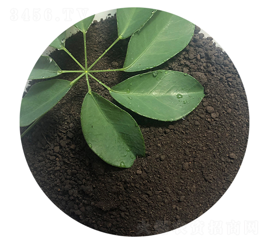 �۠��ЙC(j��)����-ϲ��������