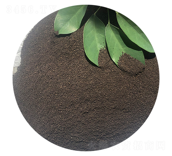 �۠������ЙC��-ϲ��������