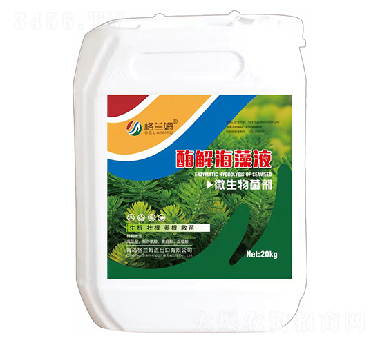 ΢�������-ø�⺣��Һ-���mķ