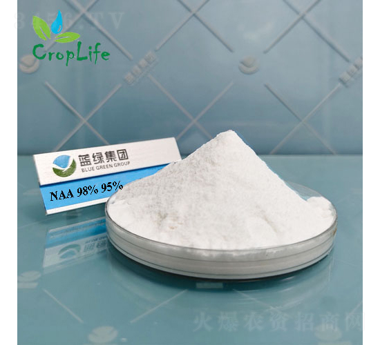 a�����ᣨNAA��-����˹����