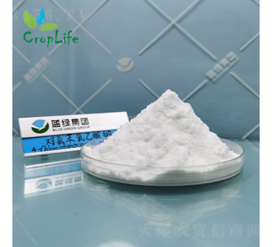 對氯苯氧乙酸4-CPA-愛普斯化工