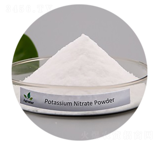 ����⛷�-�۸�˼�_