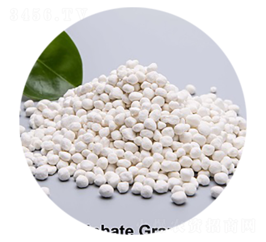 ����⛣����-�۸�˼�_(d��)