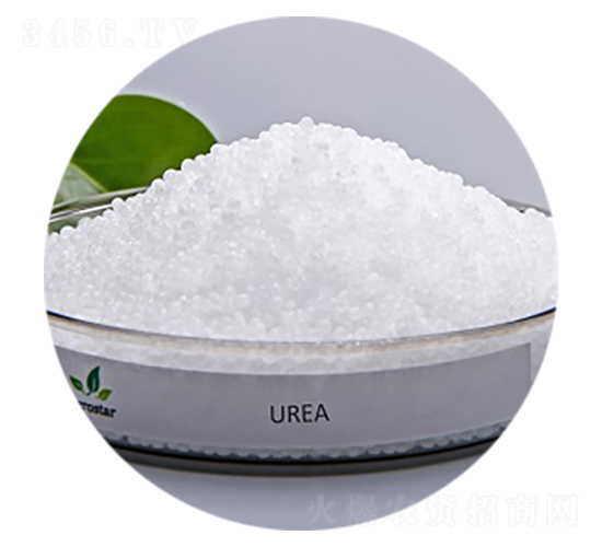 ���أ��w�����w����-��(��i)��˼�_(d��)