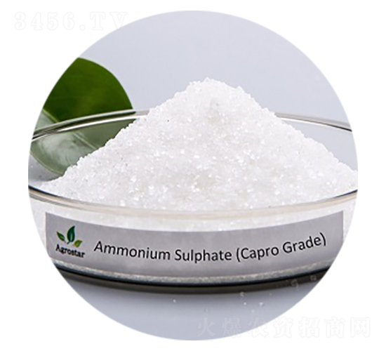 �����@���w-�۸�˼�_(d��)