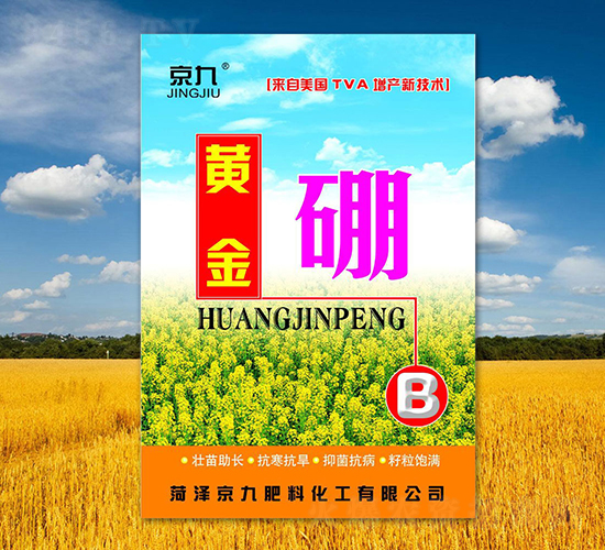 �S����-����