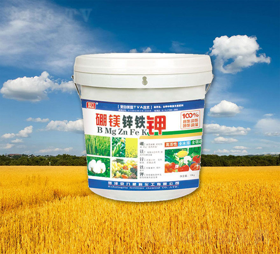 ���V�\�F�-����