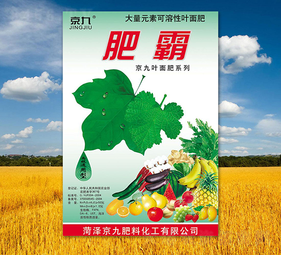 �ʰ�-����