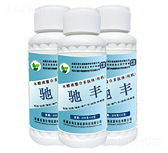 �󗗌����Y�S-ʥ�R����