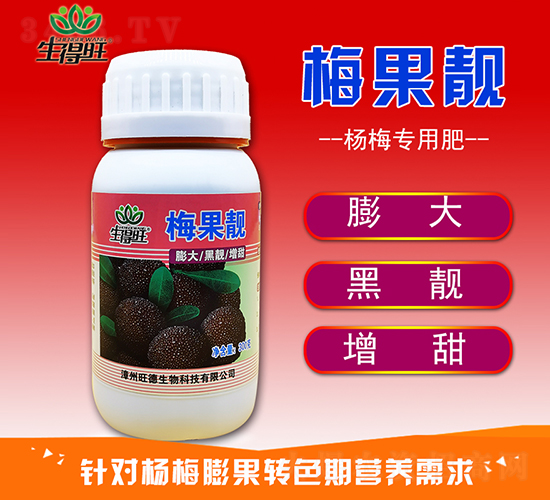 ÷���n-������-��������