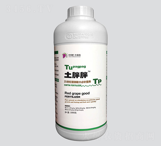 土胖胖莖部膨大必補(bǔ)營(yíng)養(yǎng)-紅葡萄