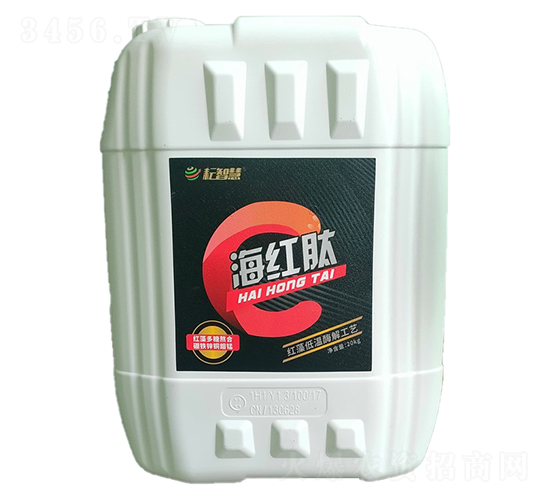 ���t�������-���ǻ�