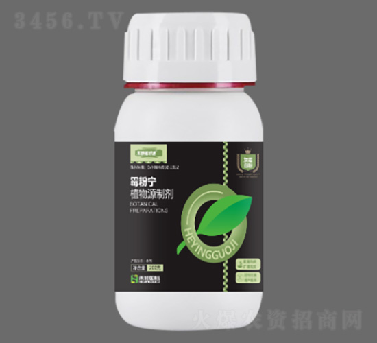 200gù�ی�-�̷f����