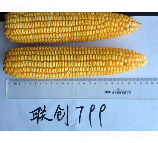 (li��n)��(chu��ng)799-���׷N��-����N�I(y��)