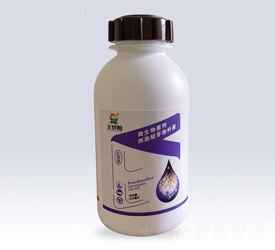 ΢���������(c��)�߶�ѿ�ߗU��-����(m��ng)�(y��ng)-��¡��(m��ng)�(y��ng)