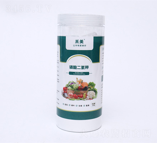 ��������-��������