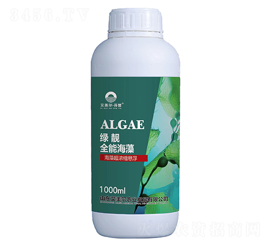 �G�nȫ�ܺ���-���峬��s�Ҹ�-������