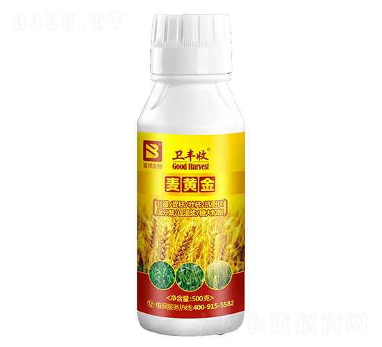 ���S��-�l(w��i)�S��-��������