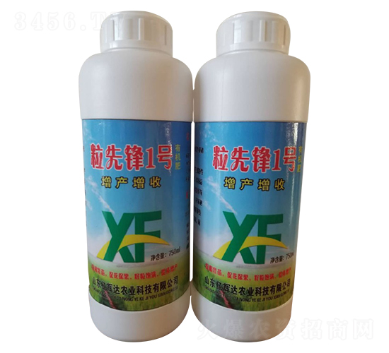 粒先鋒1號(hào)-億輝達(dá)