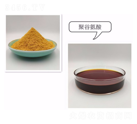 �۹Ȱ���-�����_(d��)