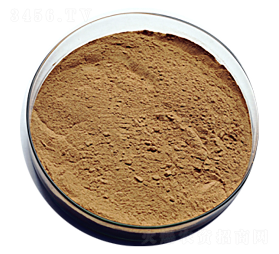 地衣芽孢桿菌-中蓮大地