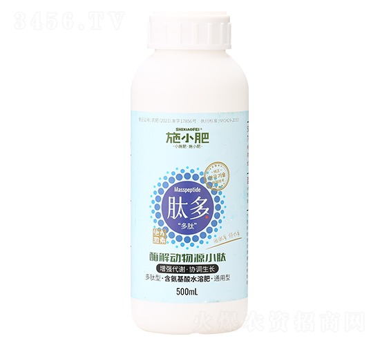 ø�����ԴС��-�Ķ�-ʩС��