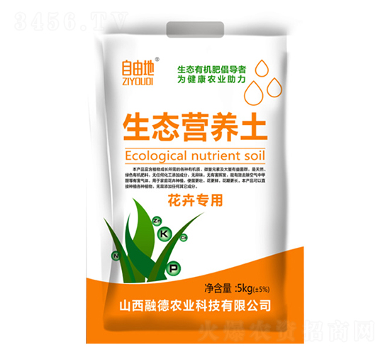 ���܌������B(t��i)�I(y��ng)�B(y��ng)��-���ɵ�-�ڵ��r(n��ng)�I(y��)