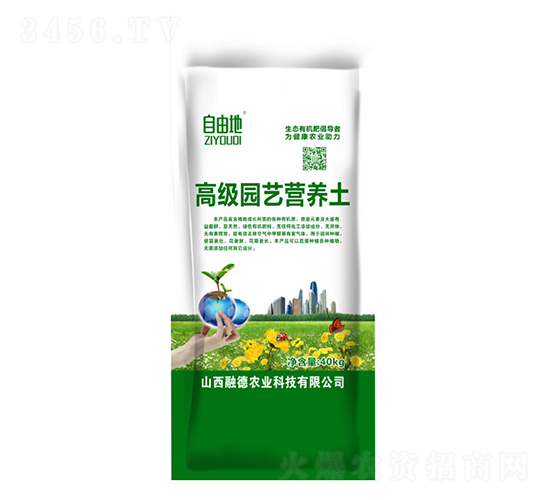 �߼��@ˇ�I�B(y��ng)��-���ɵ�-�ڵ��r�I(y��)