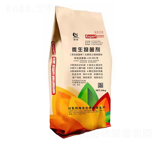 ΢�������-˹�՘�