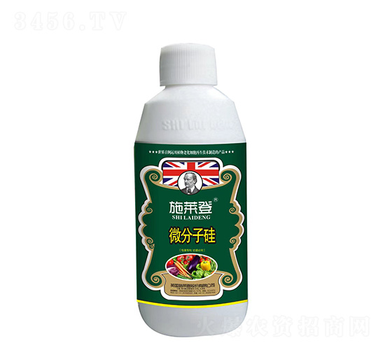 微分子硅-施萊登