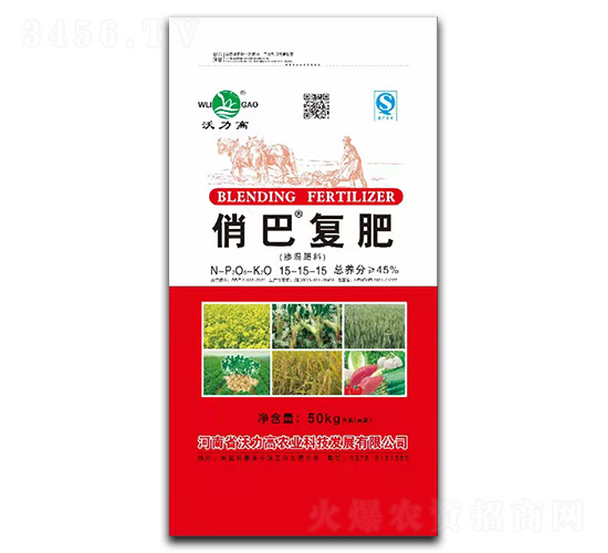 �������15-15-15�ΰ͏�(f��)��-������