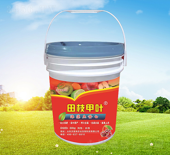 ��֦���~�����~����-�ָ���