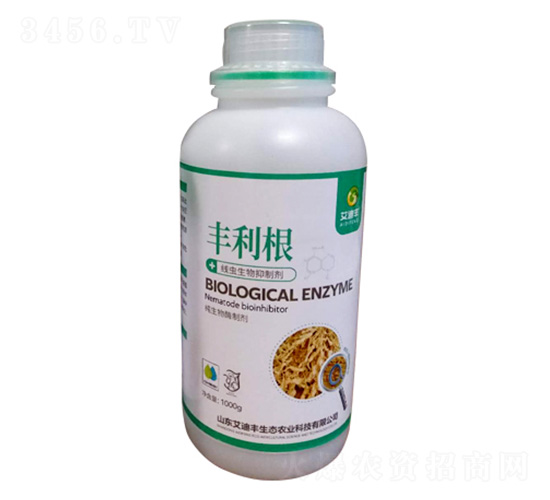 ���x�������Ƅ�-�S����-�����S