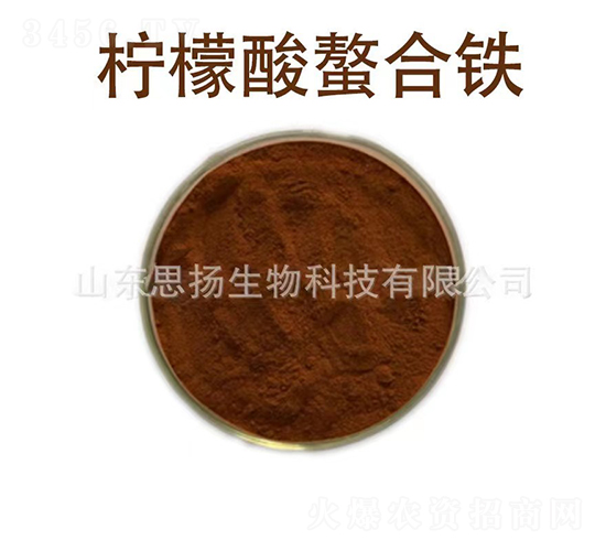 ���������F-˼�P����