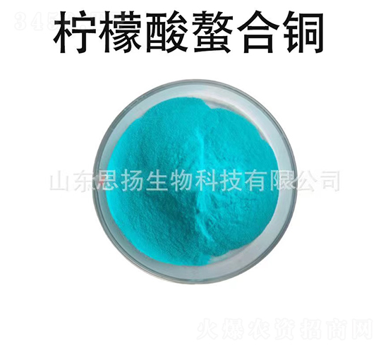 �����������~-˼�P(y��ng)����