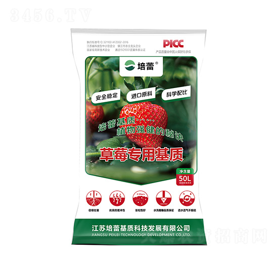 ��ݮ������|(zh��)-����