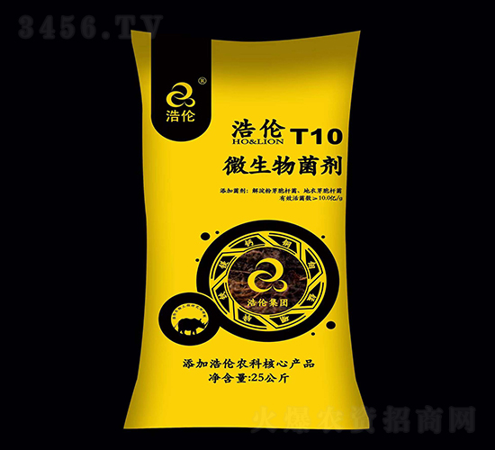 ΢�������T10-�Ƃ�