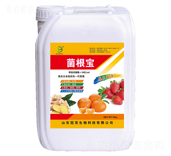 ������-��ï����