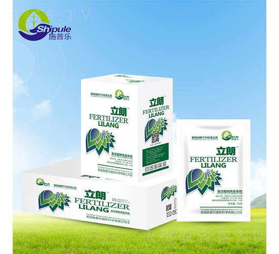 �����M(j��n)�ڷ��b����-ʩ�՘�