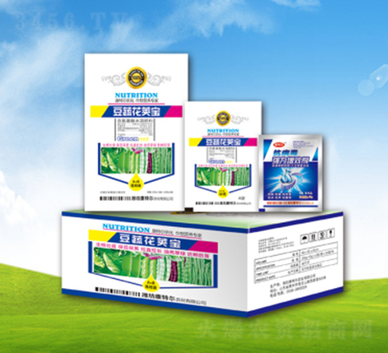 ���߻��v��-���ؠ��r��